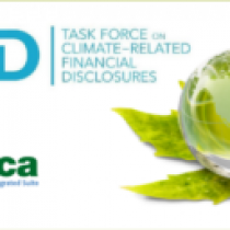 Nuestra ponencia de Información Integrada participa en el TCFD Public Consultation Webinar